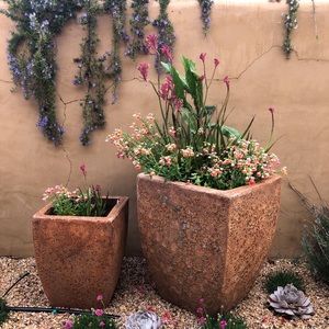 Meet your Posher, Liz